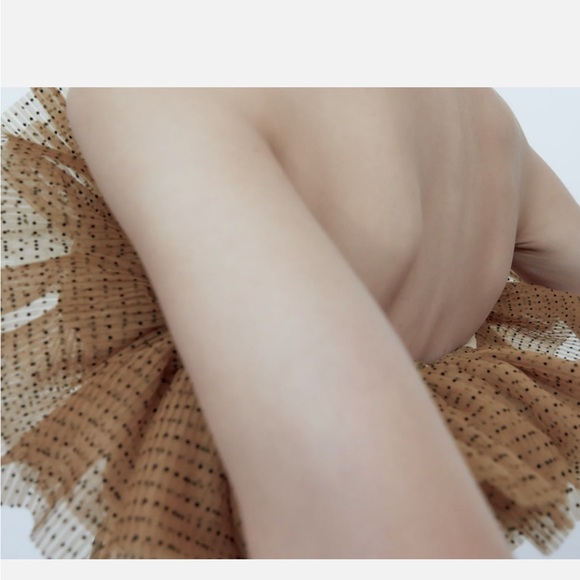 NWT Zara Nude Tulle Crop Top - Picture 8 of 8